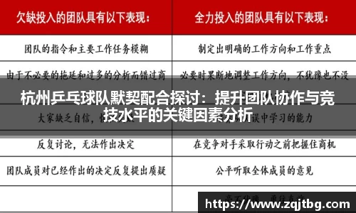 3377体育官网